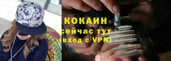 эйфоретик Бородино