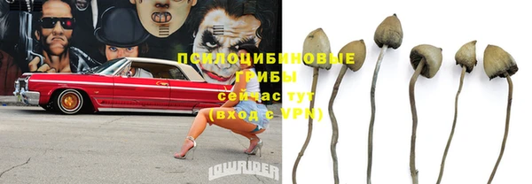 мяу мяу мука Бугульма