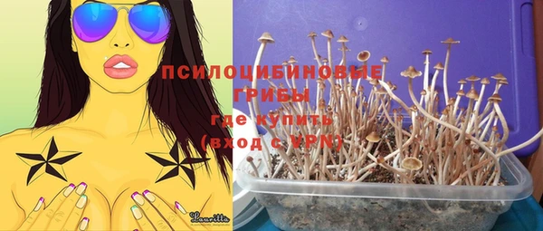 мяу мяу мука Бугульма