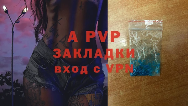 эйфоретик Бородино